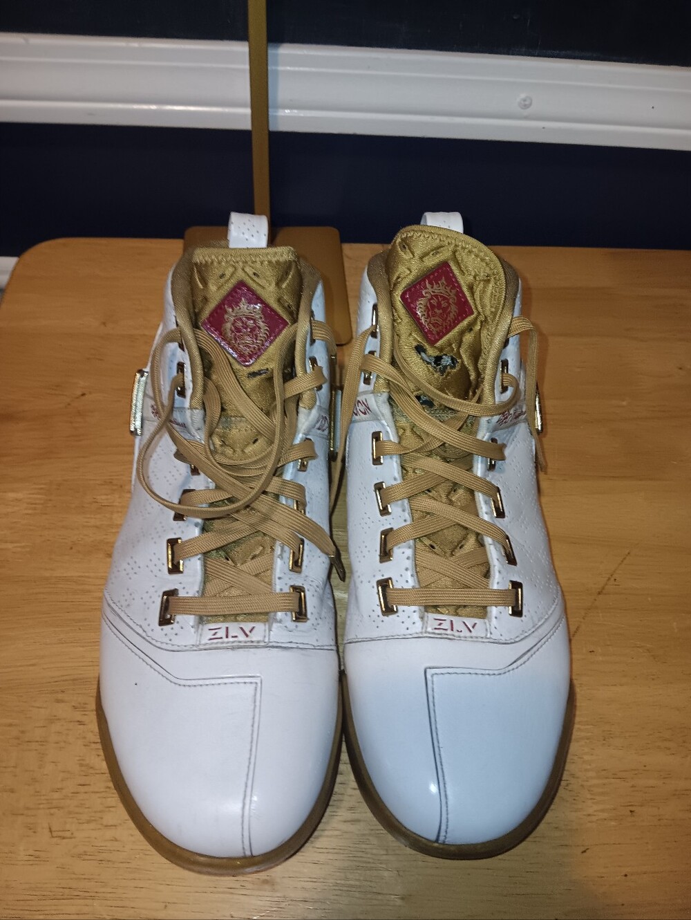 Nike Zoom Lebron 5 Akron Vision Leather Sneakers Size 10.5